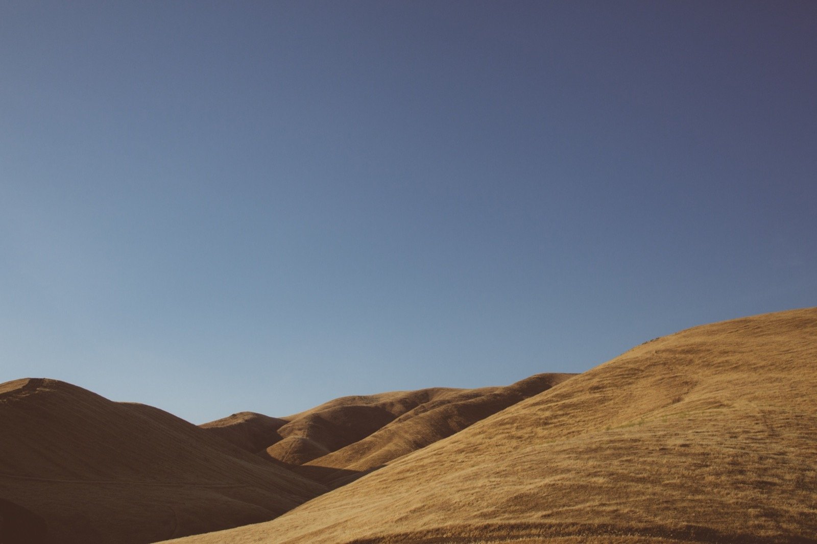 Prairie